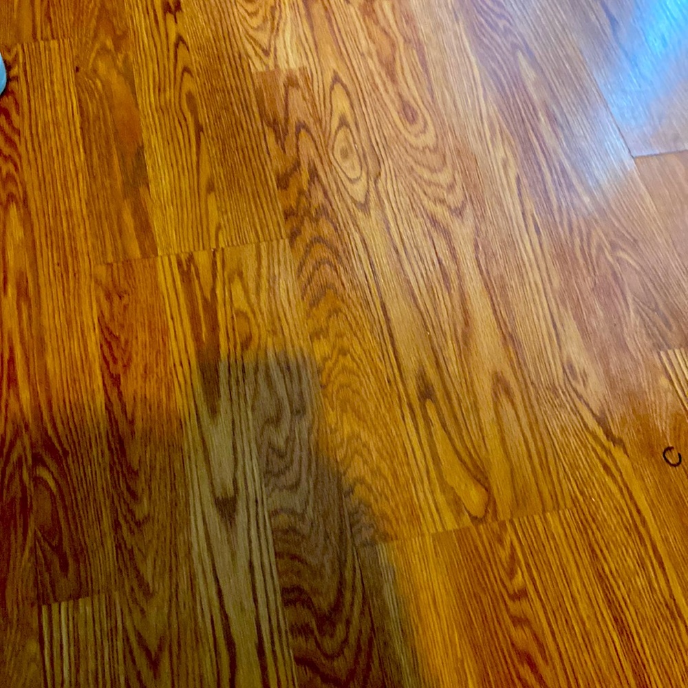 Meet your Posher, Teni